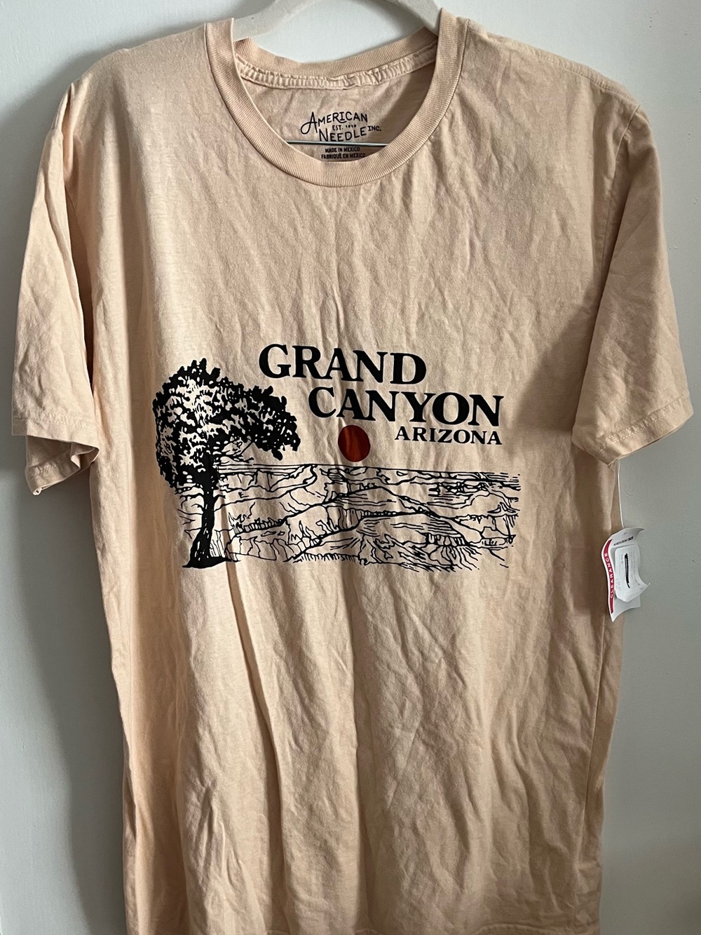 American Needle Grand Canyon Graphic Tee - Tan
